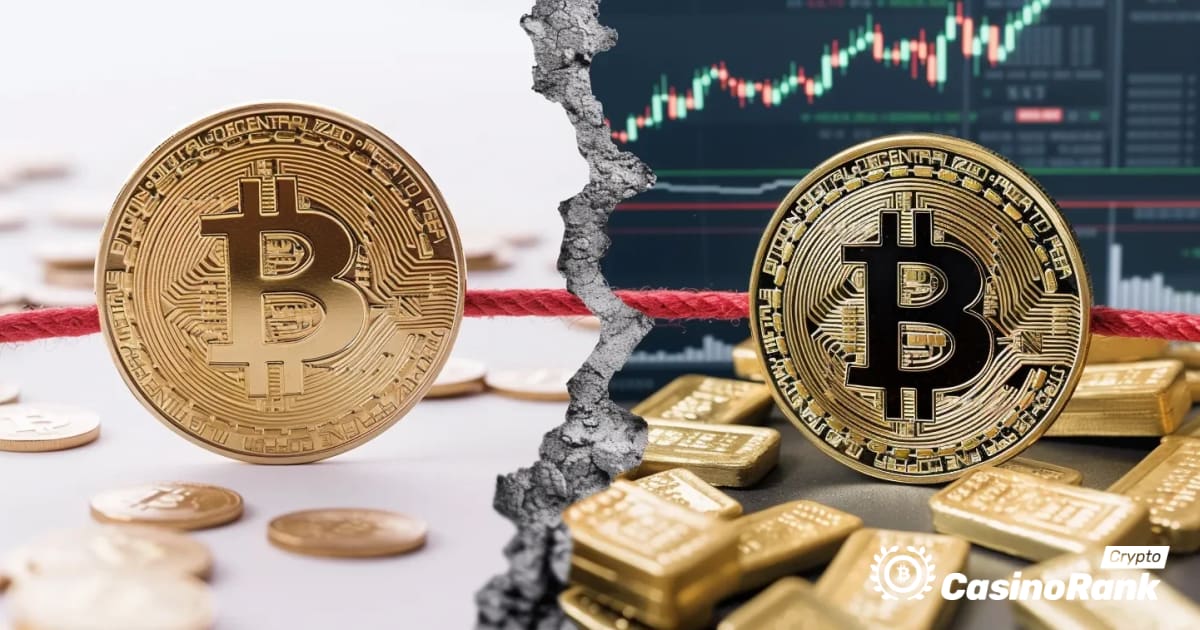 Bitcoin nepastovumas ir ateitis: pastarojo meto bangos ir skepticizmo tyrimas