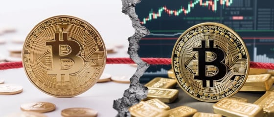 Bitcoin nepastovumas ir ateitis: pastarojo meto bangos ir skepticizmo tyrimas