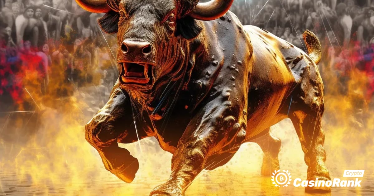 Bitcoin Bull Market: saugi vertÄ—s saugykla su didele grÄ…Å¾a